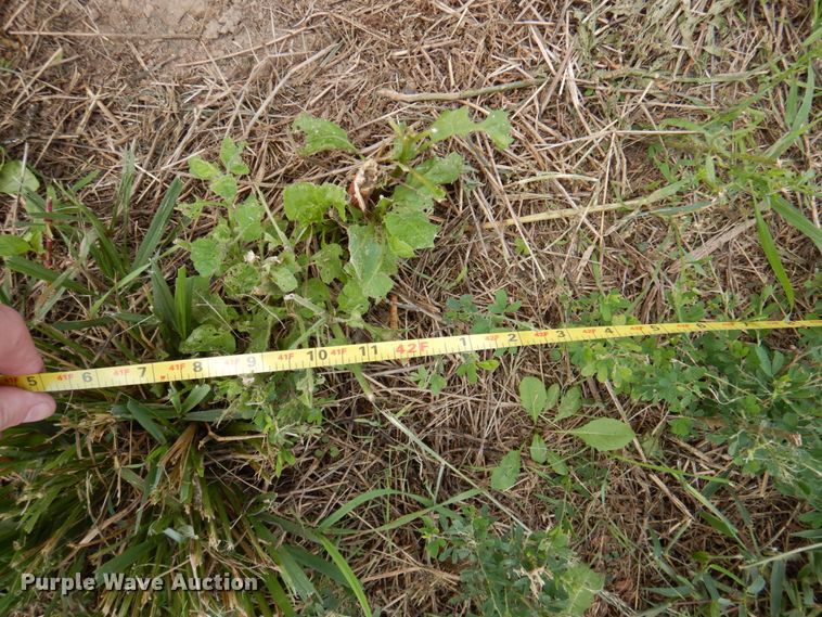 image for item DA5267 1999 Wilson DWH-400 double hopper bottom grain trailer