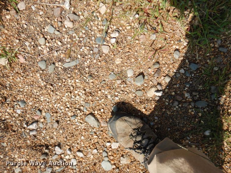 image for item FR9174 Vermeer