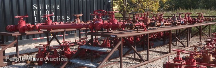 image for item HK9588 (2) catwalks