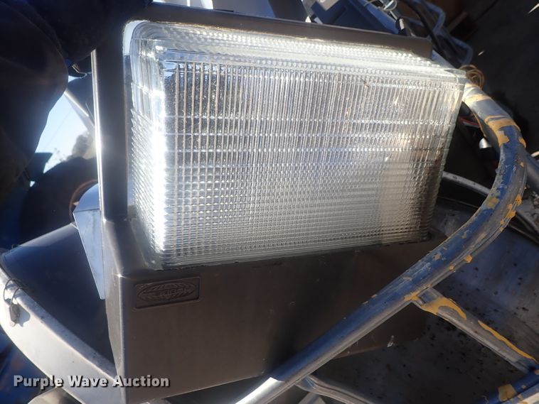 image for item GN9187 Approximately 60 lights