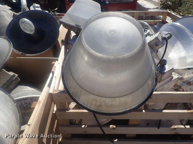 image for item GN9187 Approximately 60 lights