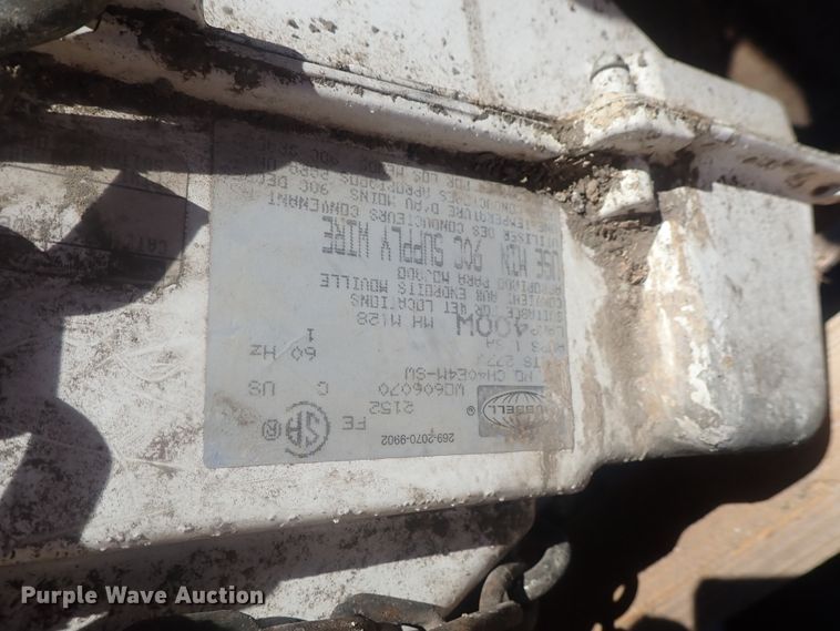 image for item GN9187 Approximately 60 lights