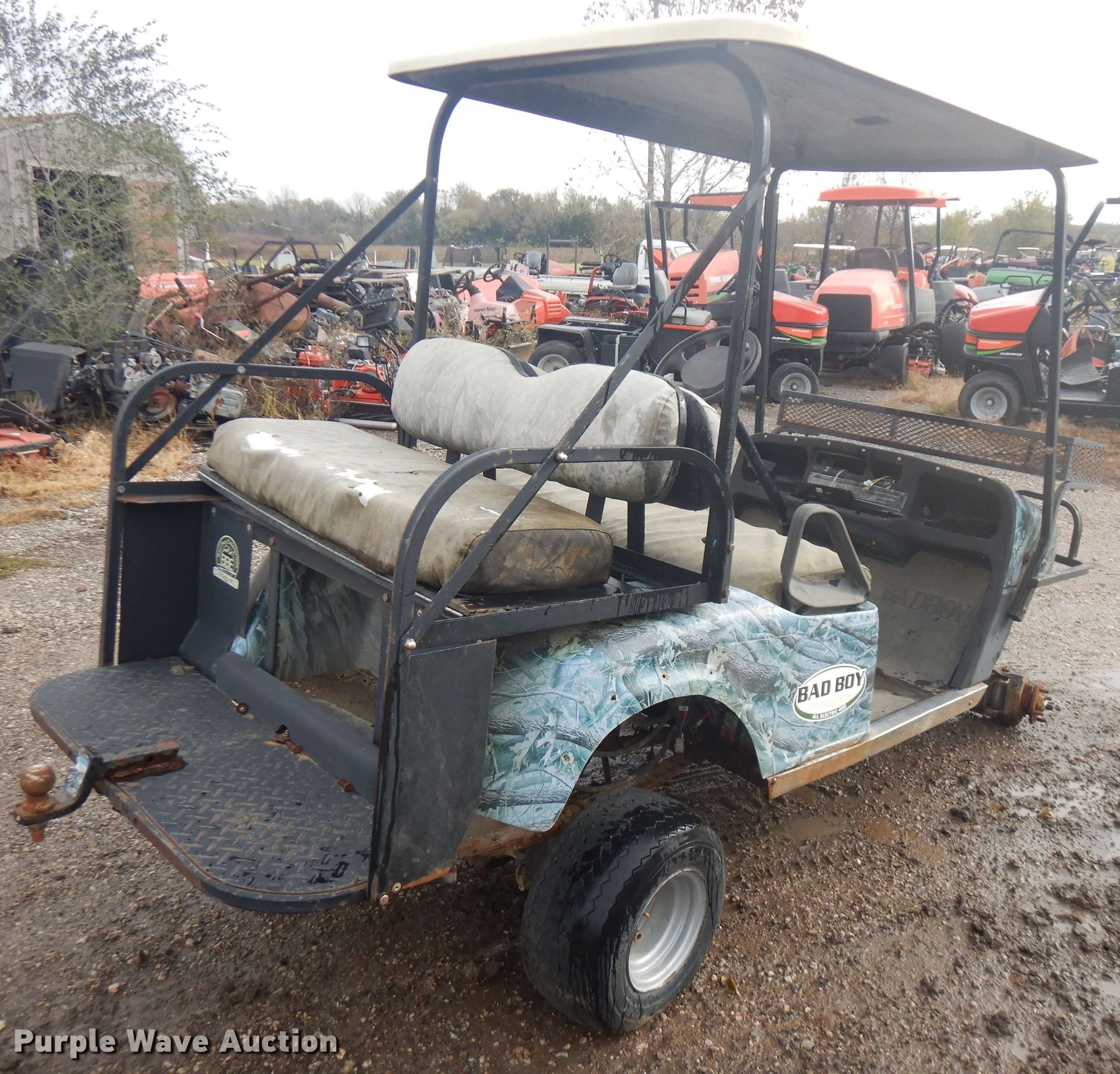 (2) golf carts in Iola, KS Item FW9849 sold Purple Wave