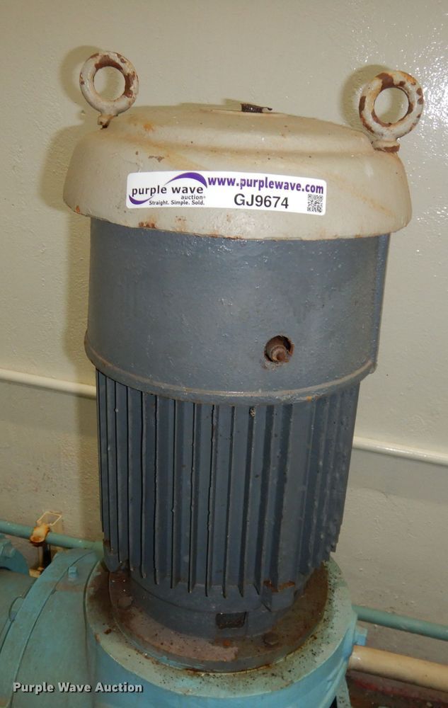 image for item GJ9674 Back wash water pump