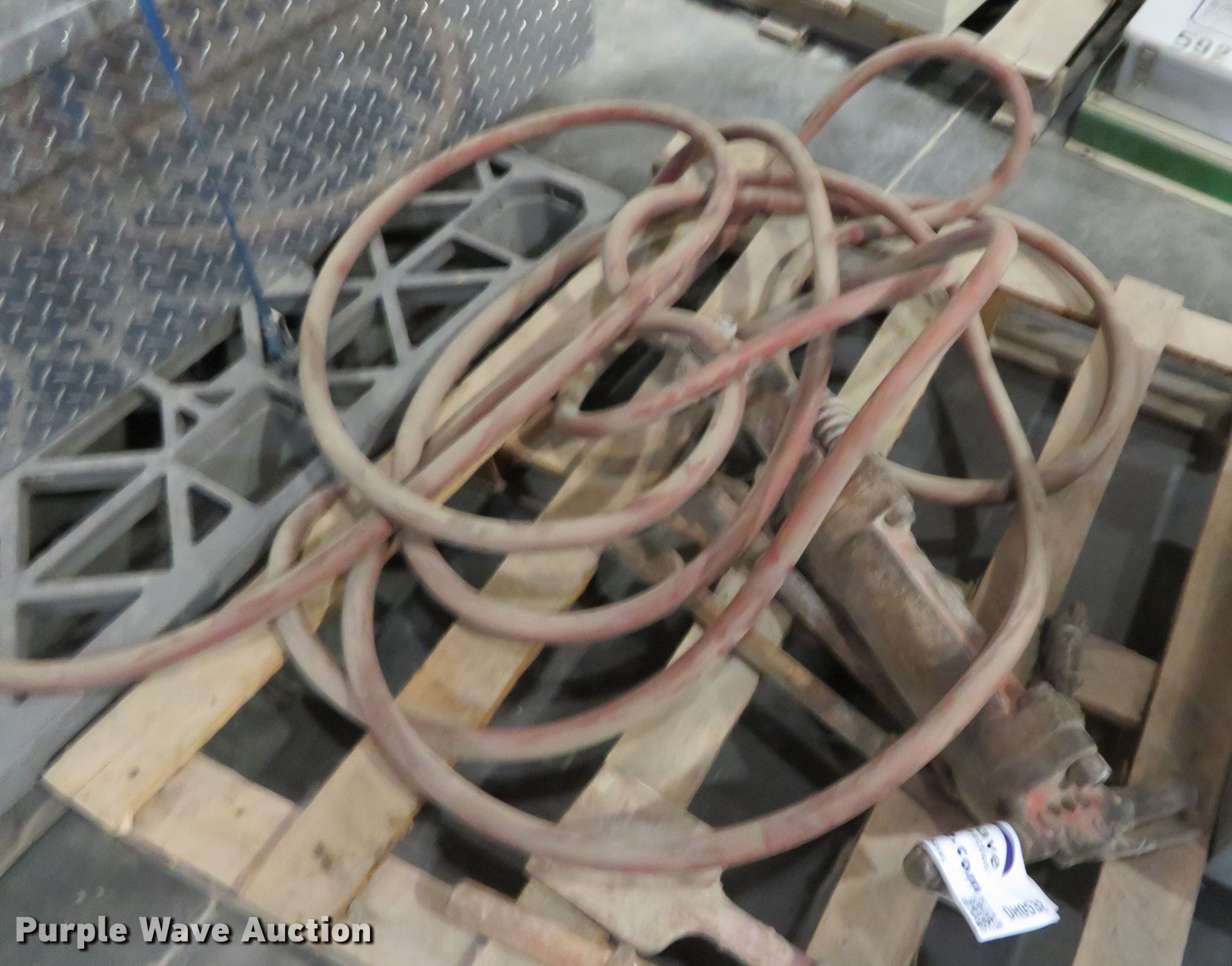 Dames - Wout Bergers Sport