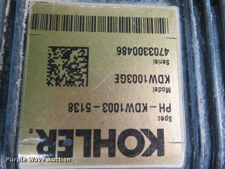 image for item DH0575 2017 Terex RL4  light plant