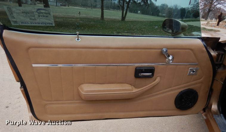 image for item DL2525 1981 Chevrolet Camaro Z28