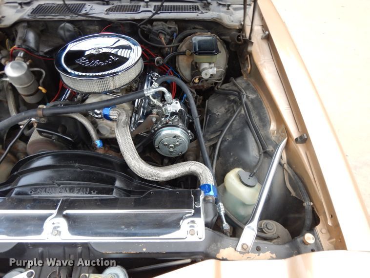 image for item DL2525 1981 Chevrolet Camaro Z28