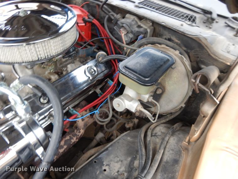 image for item DL2525 1981 Chevrolet Camaro Z28