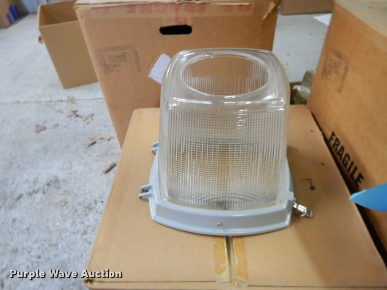 image for item DL2590 Light globes