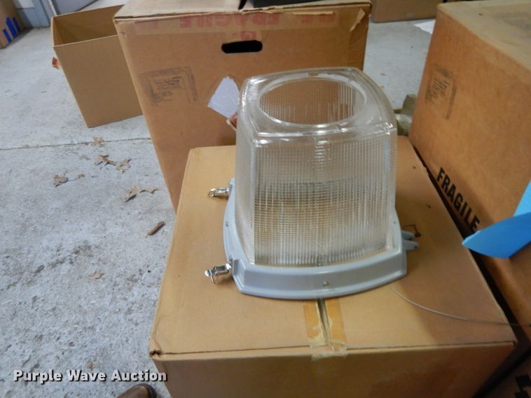 image for item DL2590 Light globes