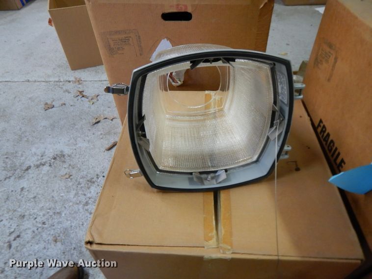 image for item DL2590 Light globes