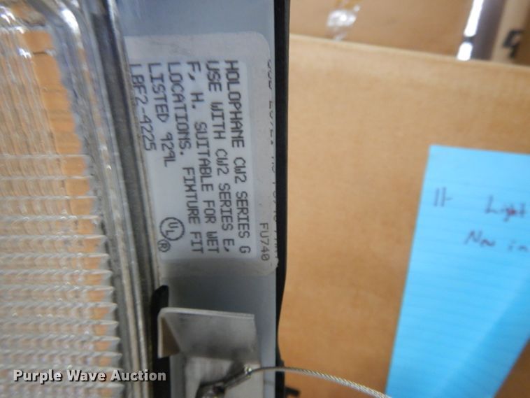 image for item DL2590 Light globes