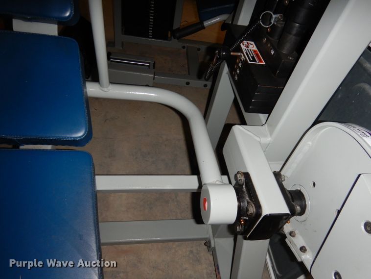 Body Master CX210 back extension machine in Emporia, KS | Item HE9397 sold  | Purple Wave