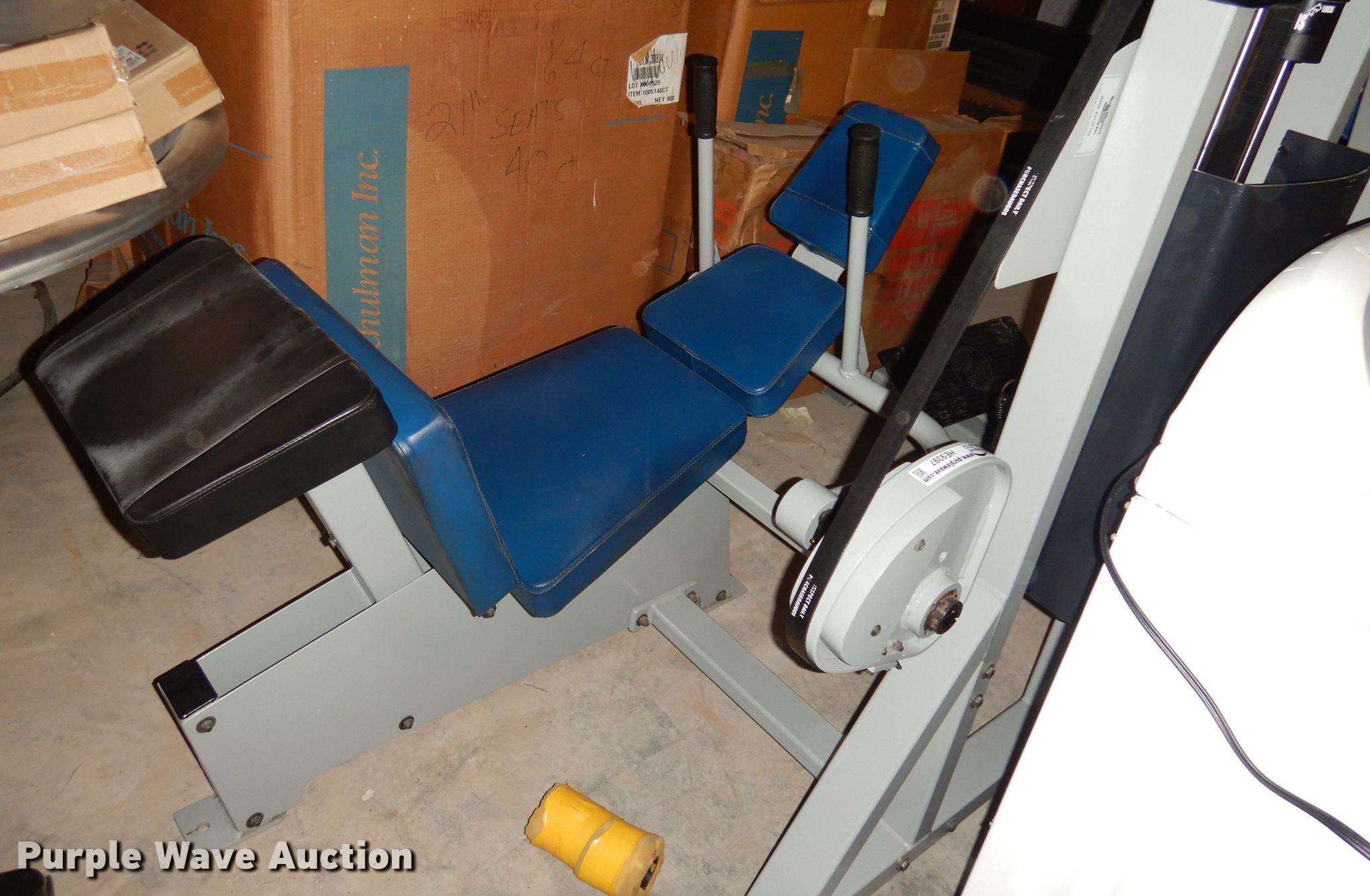 Body Master CX210 back extension machine in Emporia, KS | Item HE9397 sold  | Purple Wave