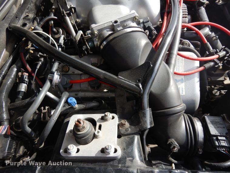 image for item IG9131 1997 Ford Mustang Cobra