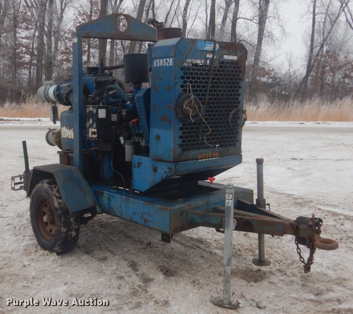 Thompson water pump in Goodhue, MN Item HS9758 sold Purple Wave