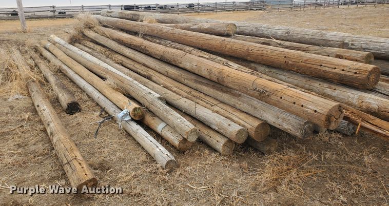 image for item HW9611 Approximately 90 wood utility poles