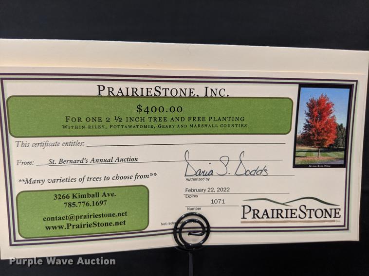 image for item FM9024 Tree with planting