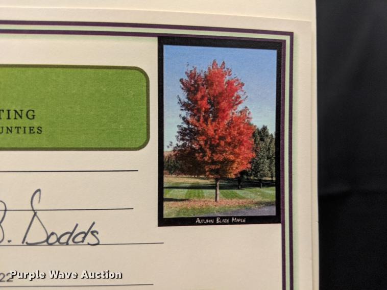 image for item FM9024 Tree with planting