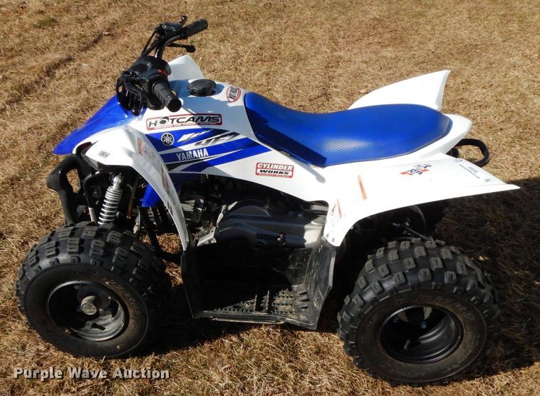 image for item IX9246 2017 Yamaha 9FZ  ATV