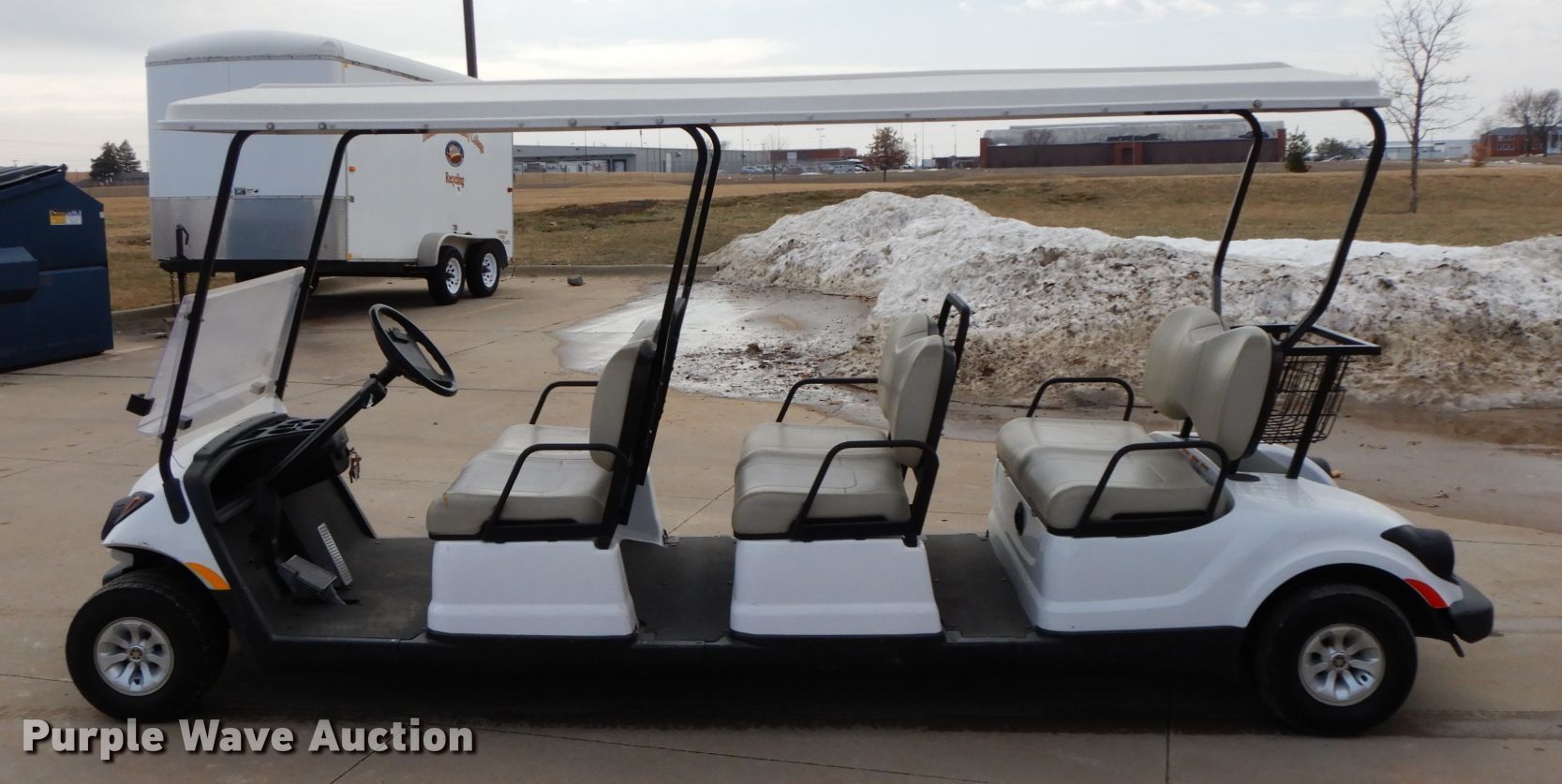2010 Yamaha YDRE3 golf cart in Ottumwa, IA Item IX9301 sold Purple Wave