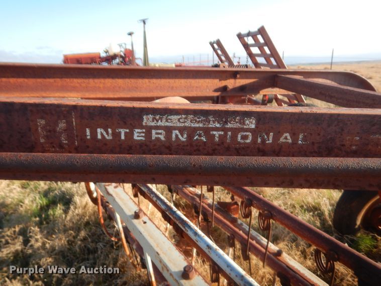 image for item HG9534 International hay rake