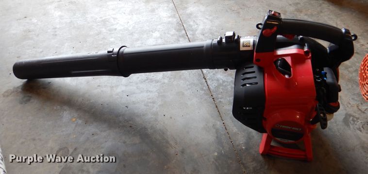 image for item DL4874 Leaf blowers