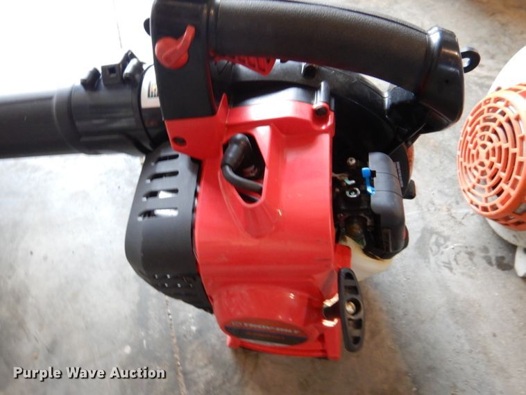 image for item DL4874 Leaf blowers