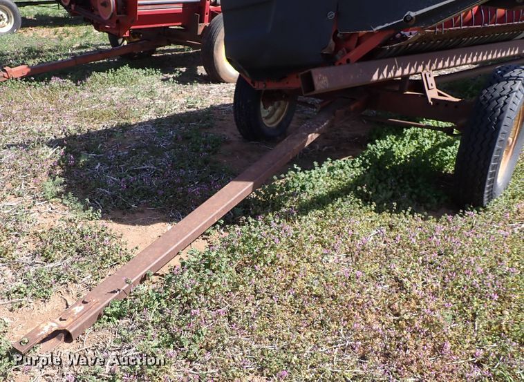 image for item DK4589 2000 Case IH 1020  H03CJ flex head