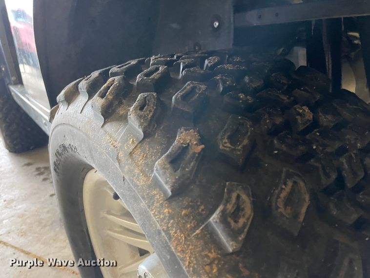 image for item IR9800 Ruff & Tuff  golf cart