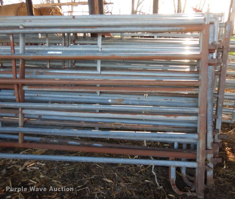image for item IP9155 Approximately 12 livestock panels