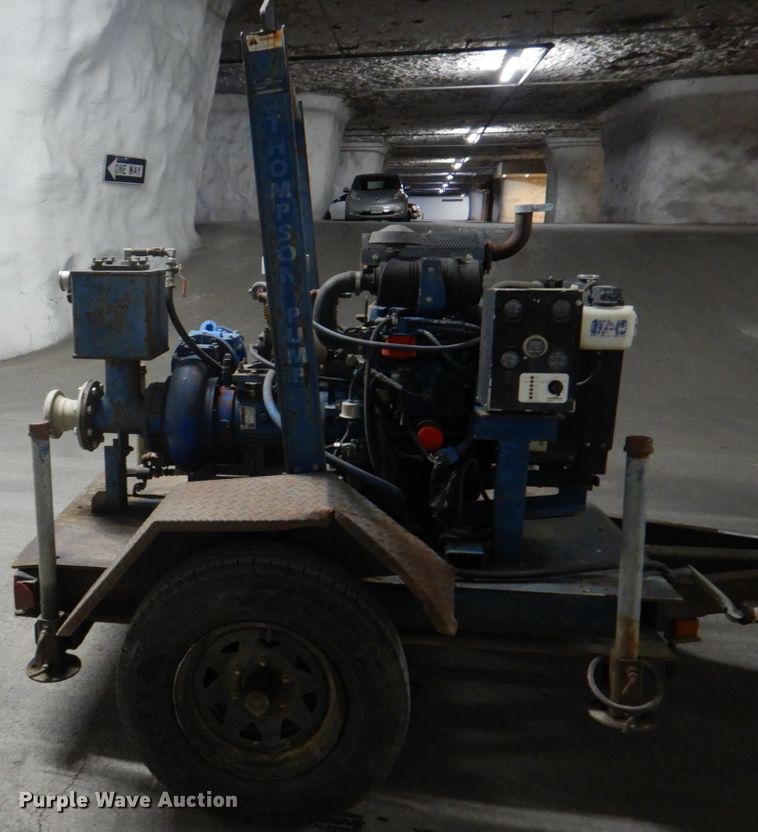 image for item IQ9250 Thompson K72-CHECKFL004 pump