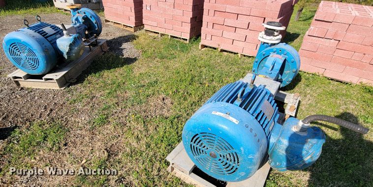 image for item IV9006 (2) Marathon CH364TTGS1036AP water pumps