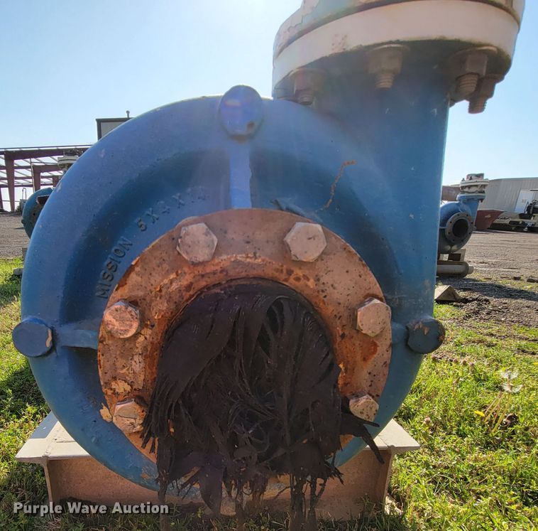 image for item IV9006 (2) Marathon CH364TTGS1036AP water pumps