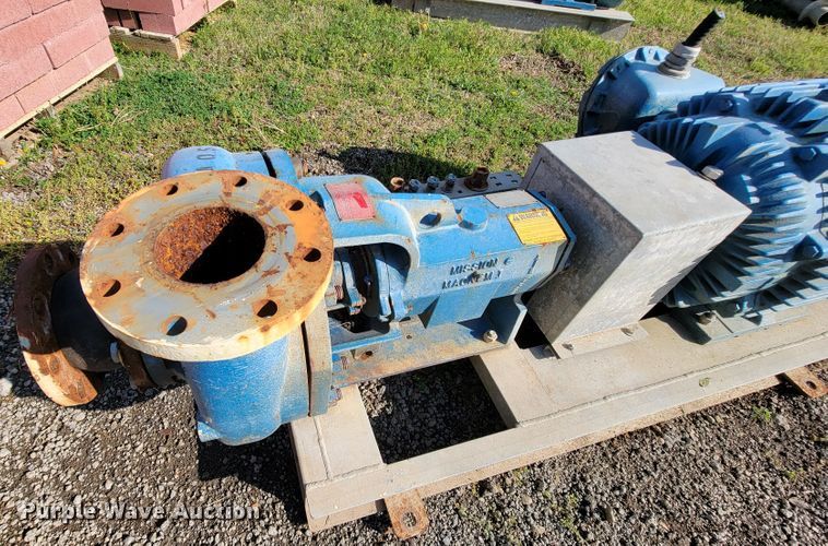 image for item IV9006 (2) Marathon CH364TTGS1036AP water pumps