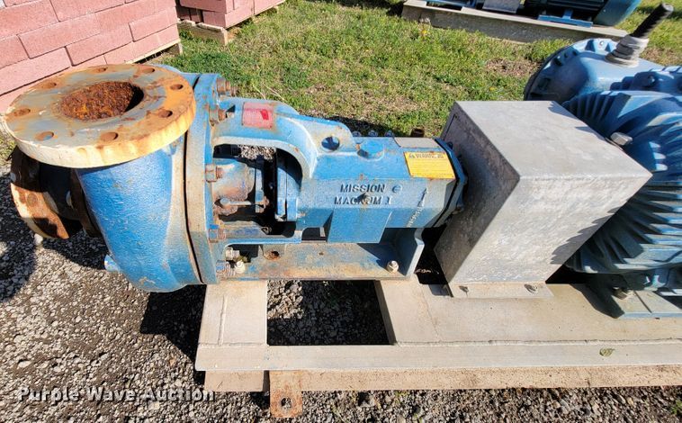 image for item IV9006 (2) Marathon CH364TTGS1036AP water pumps