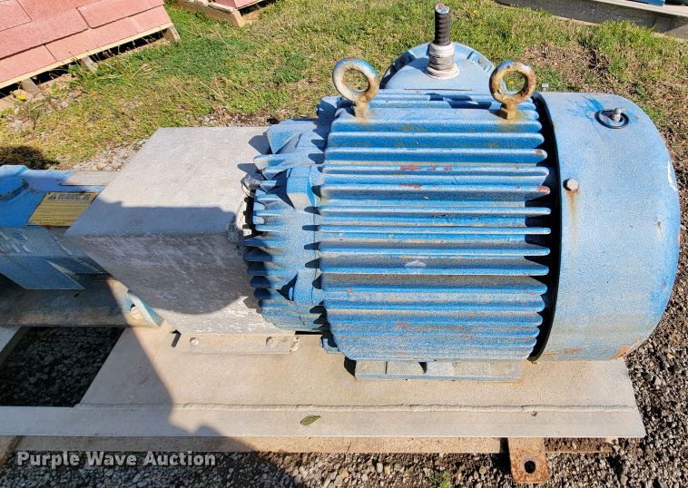 image for item IV9006 (2) Marathon CH364TTGS1036AP water pumps