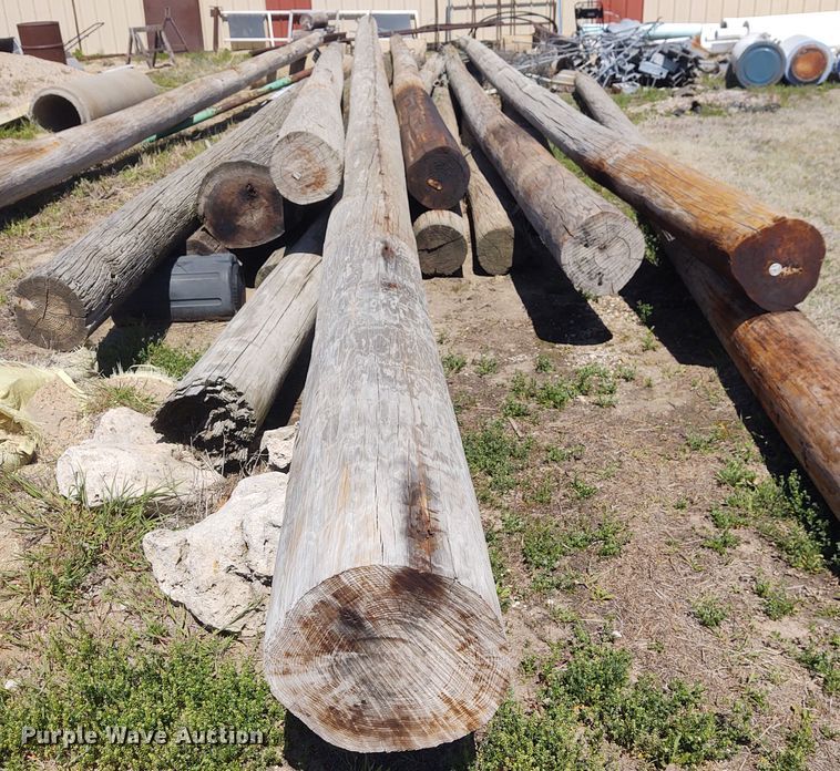 image for item IK9268 (14) poles