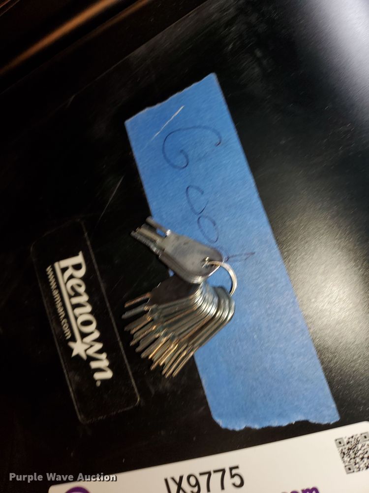 image for item IX9775 (20) Renown paper towel dispensers