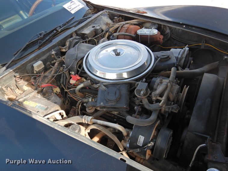 image for item DJ8471 1981 Chevrolet Corvette