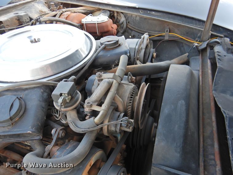 image for item DJ8471 1981 Chevrolet Corvette