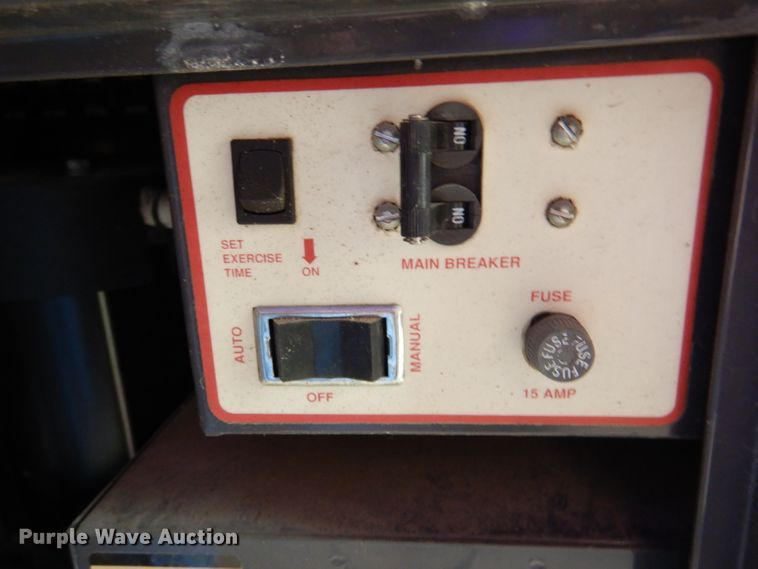 image for item DL8083 Dayton 4W166H  generator