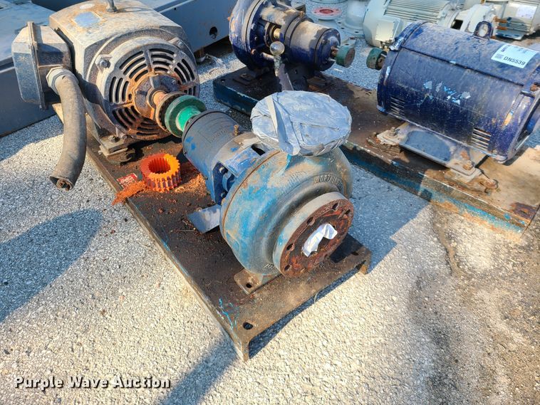 image for item DN5539 (2) Worthington 4" water pumps