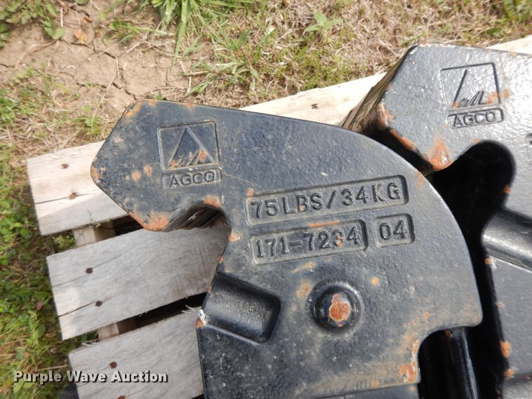 image for item HO9473 (36) AGCO suitcase weights