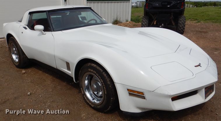 image for item DL8096 1981 Chevrolet Corvette