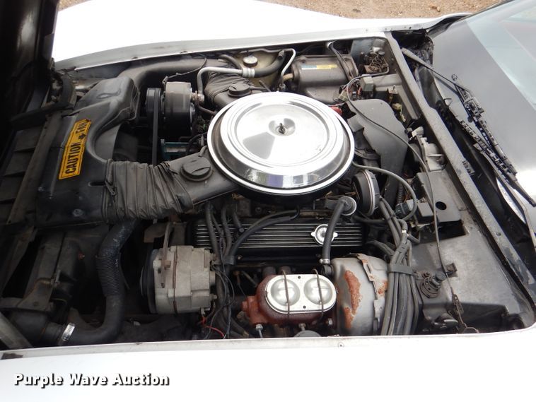 image for item DL8096 1981 Chevrolet Corvette