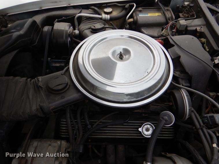 image for item DL8096 1981 Chevrolet Corvette