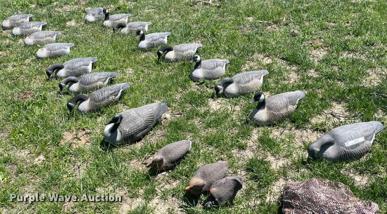 image for item IR9808 (20) duck decoys