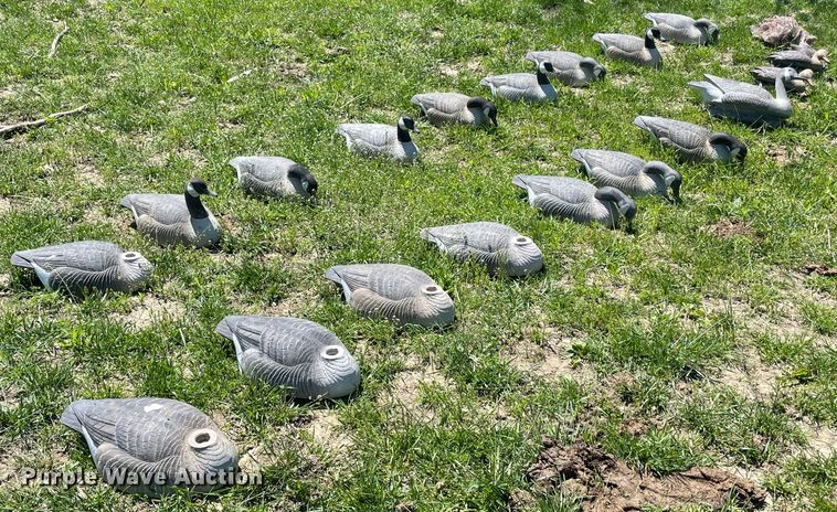 image for item IR9808 (20) duck decoys